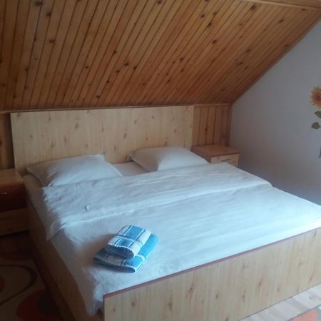 Casa Elena Hotel Moieciu de Jos Luaran gambar