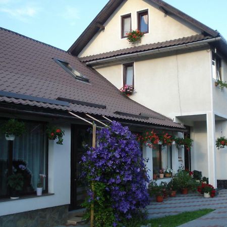 Casa Elena Hotel Moieciu de Jos Luaran gambar