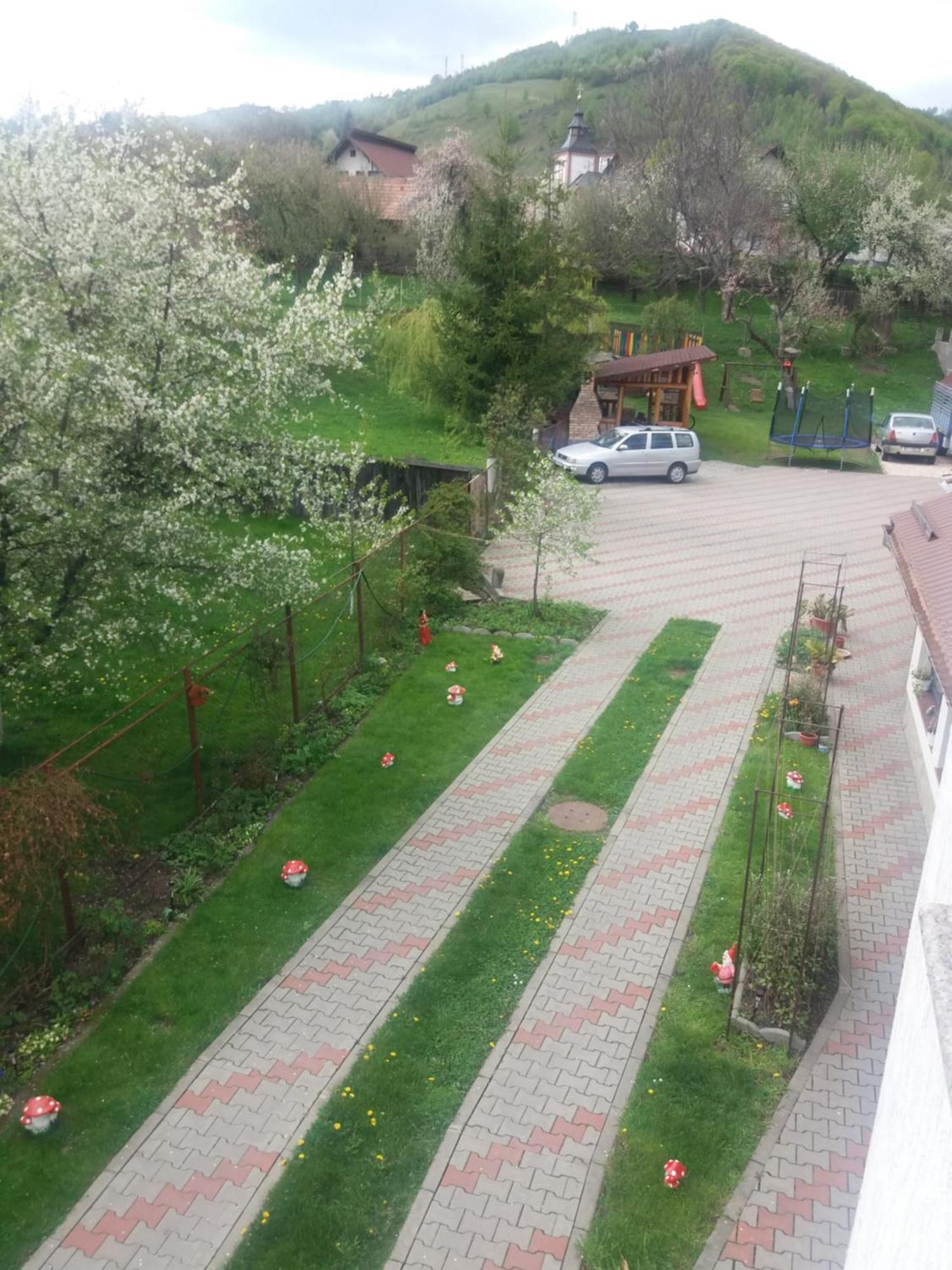 Casa Elena Hotel Moieciu de Jos Luaran gambar