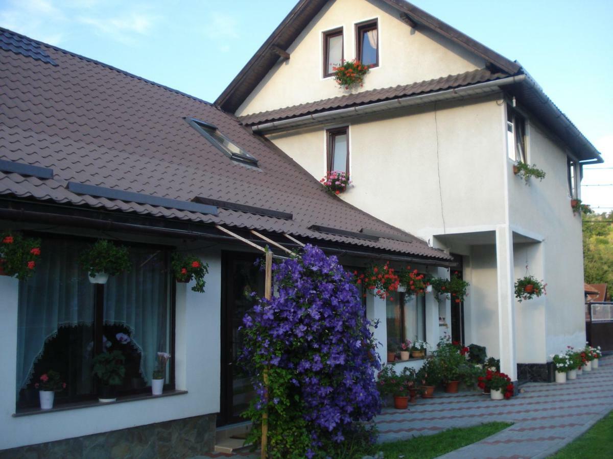 Casa Elena Hotel Moieciu de Jos Luaran gambar